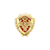 9внг