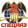 75 лет Войскам специального назначения МО РФ